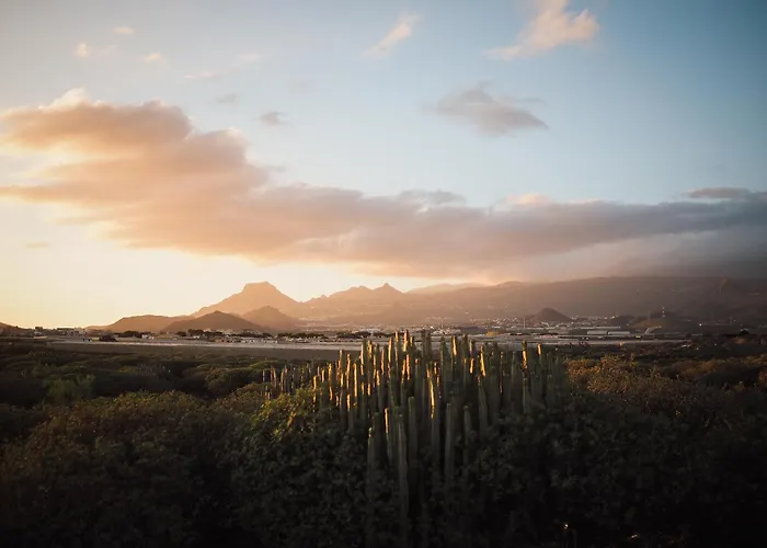 Lejlighed Casa Marina